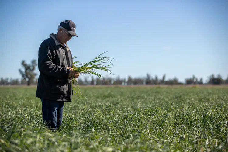 Sixth view of Homely rural property listing, "Three Oaks" 1268 Tummaville Road, Tummaville QLD 4352