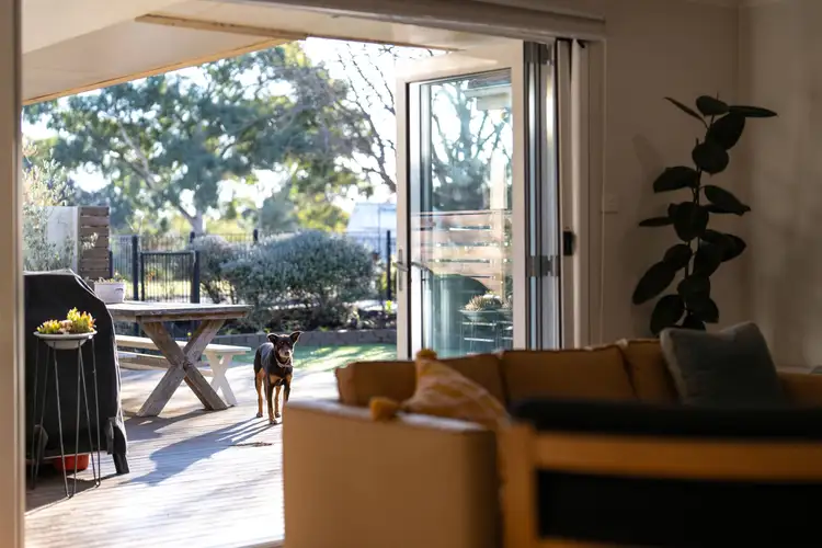 Second view of Homely house listing, 5 Dawson Street, Curtin ACT 2605