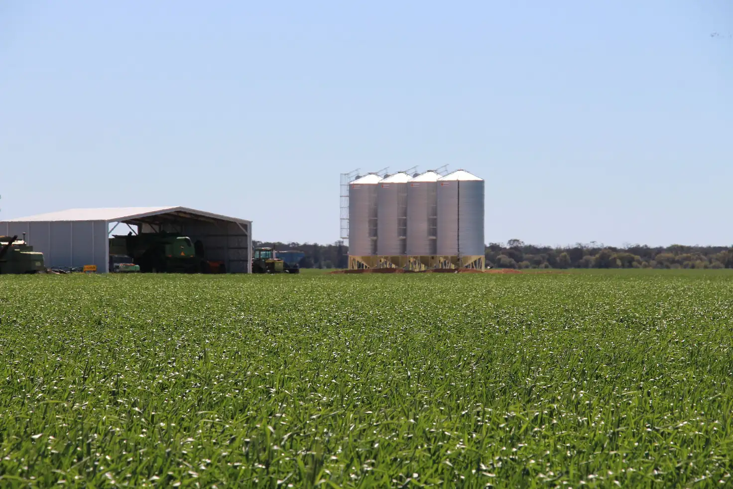 Main view of Homely rural property listing, "Wilga"/86 Swifts Road, Tulloona NSW 2400