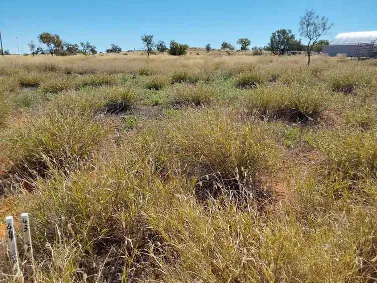 Third view of Homely land listing, 19 Mary Street, Windorah QLD 4481