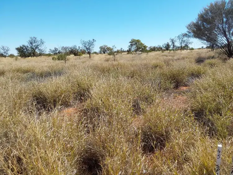 Second view of Homely land listing, 15 Mary Street, Windorah QLD 4481