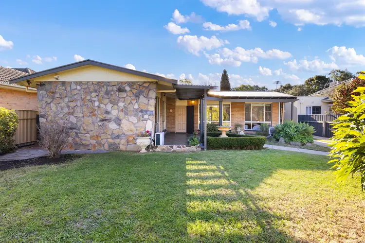 11 Whitelodge Road, Paradise SA 5075