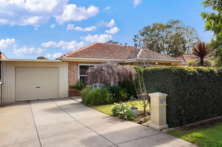 14 Primrose Avenue, Paradise SA 5075