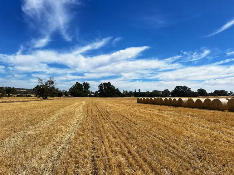 Third view of Homely rural property listing, Darganullup 1431 Boyup Brook - Kojonup Road, Mayanup WA 6244
