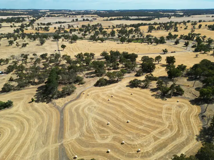 Fifth view of Homely rural property listing, Darganullup 1431 Boyup Brook - Kojonup Road, Mayanup WA 6244