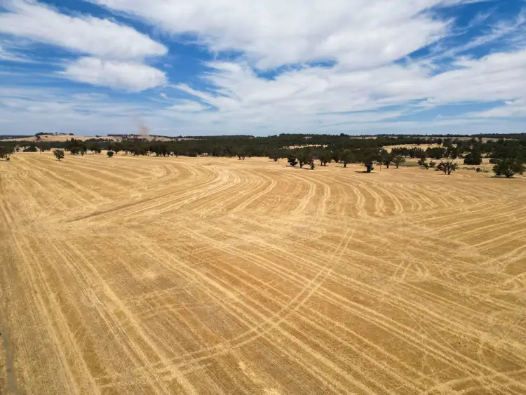 Sixth view of Homely rural property listing, Darganullup 1431 Boyup Brook - Kojonup Road, Mayanup WA 6244
