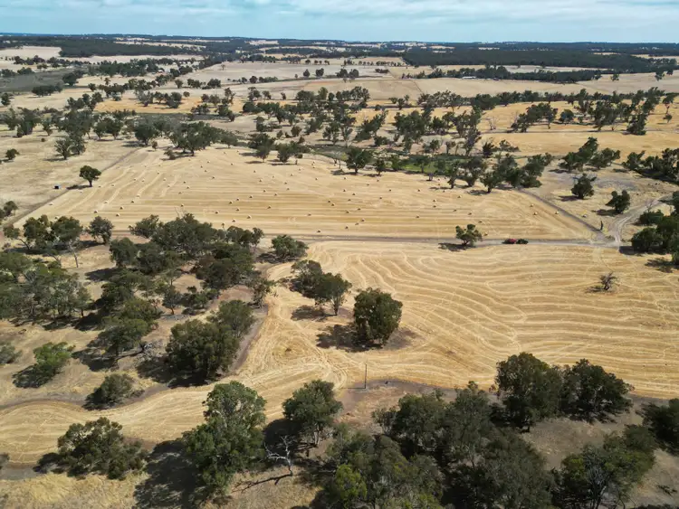 Seventh view of Homely rural property listing, Darganullup 1431 Boyup Brook - Kojonup Road, Mayanup WA 6244