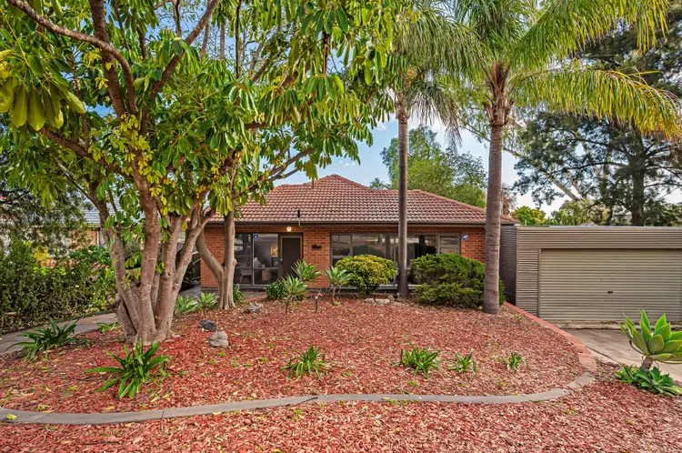 19 Stevens Avenue, Para Hills SA 5096