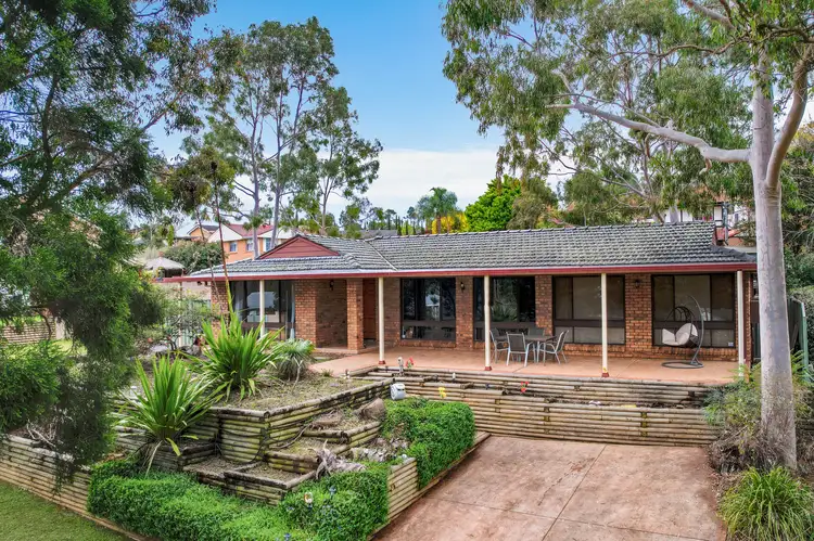 Main view of Homely house listing, 11 Appaloosa Circuit, Blairmount NSW 2559