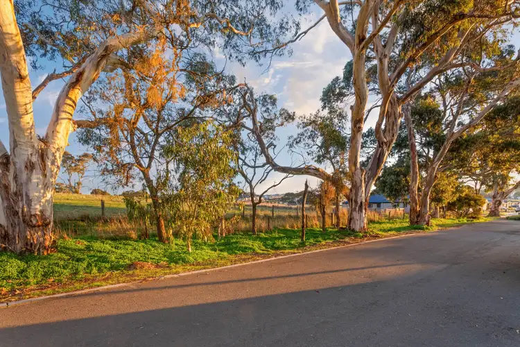 Second view of Homely house listing, 11 Hayle Court, Mount Barker SA 5251