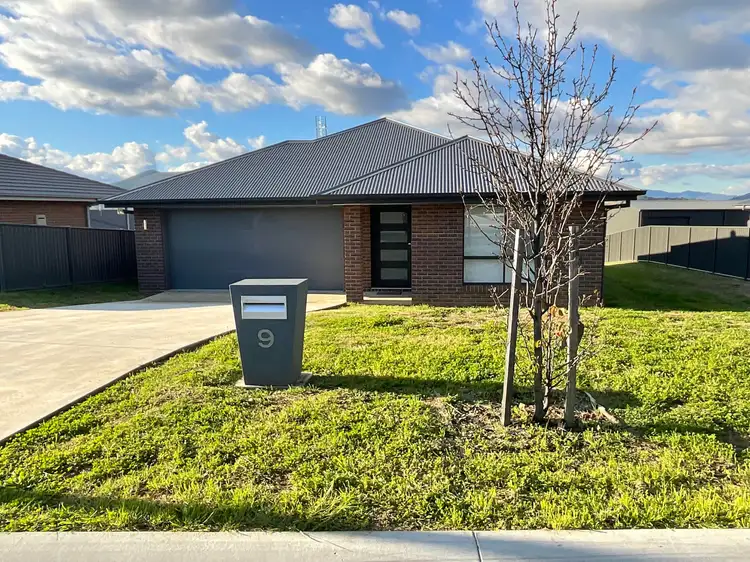 9 Ibis Street
