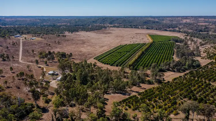 Main view of Homely rural property listing, 592 Nielsons Road, Good Night QLD 4671