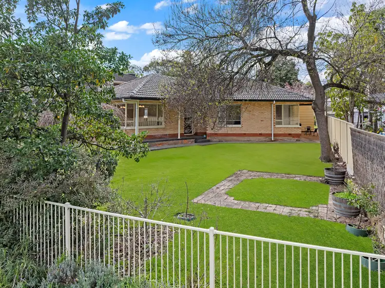 13 Davenport Street, Banksia Park SA 5091
