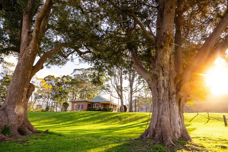 104 Wyalla Road, Jamberoo NSW 2533