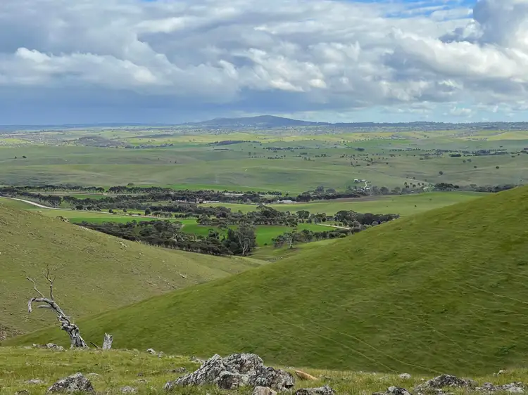 11 Steep Hill Road