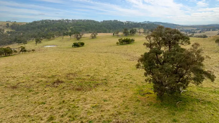 Third view of Homely rural property listing, 4248 Pinkett Road, Red Range NSW 2370