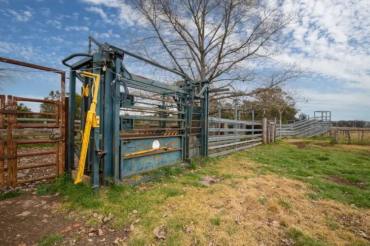 Fourth view of Homely rural property listing, 4248 Pinkett Road, Red Range NSW 2370