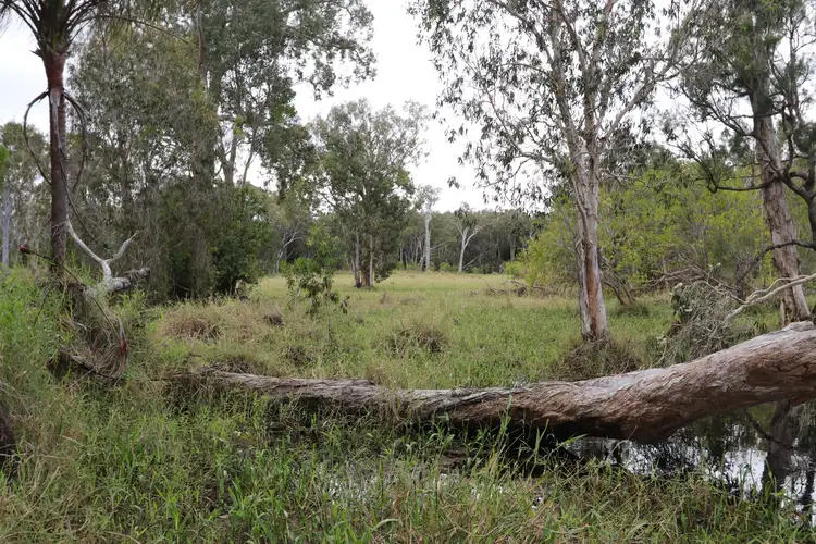 Third view of Homely rural property listing, 0 JOSKELEIGH RD,, Joskeleigh QLD 4702