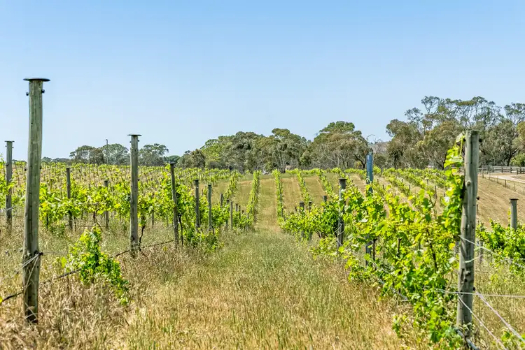 Third view of Homely house listing, 1247 Harrogate Road, Harrogate SA 5244