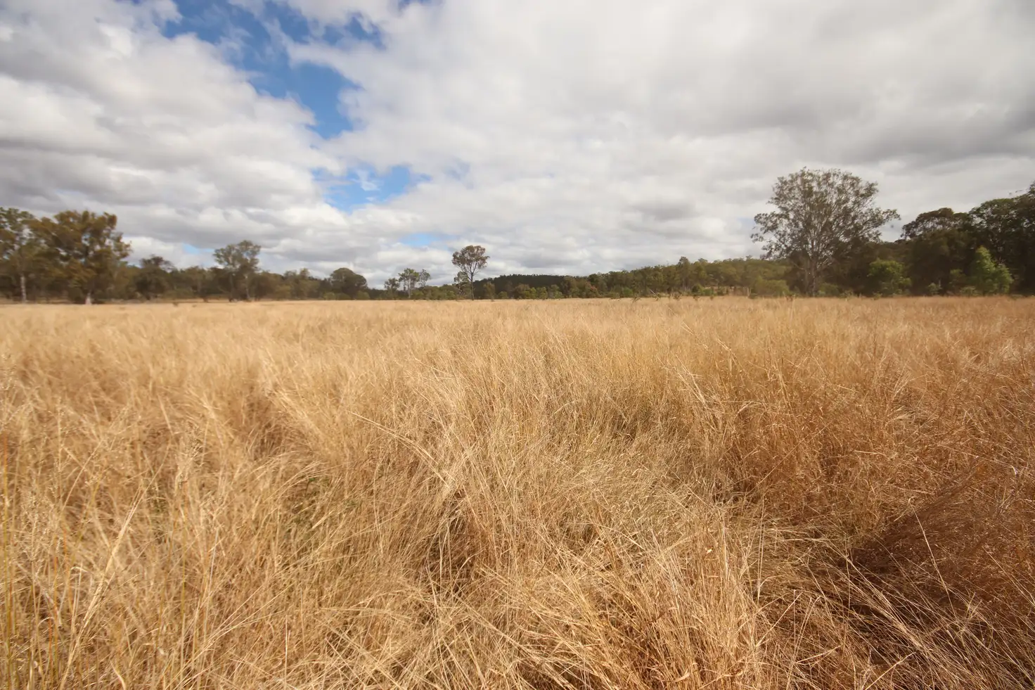 Main view of Homely rural property listing, Lot 114 Kerwee Road, Eidsvold QLD 4627