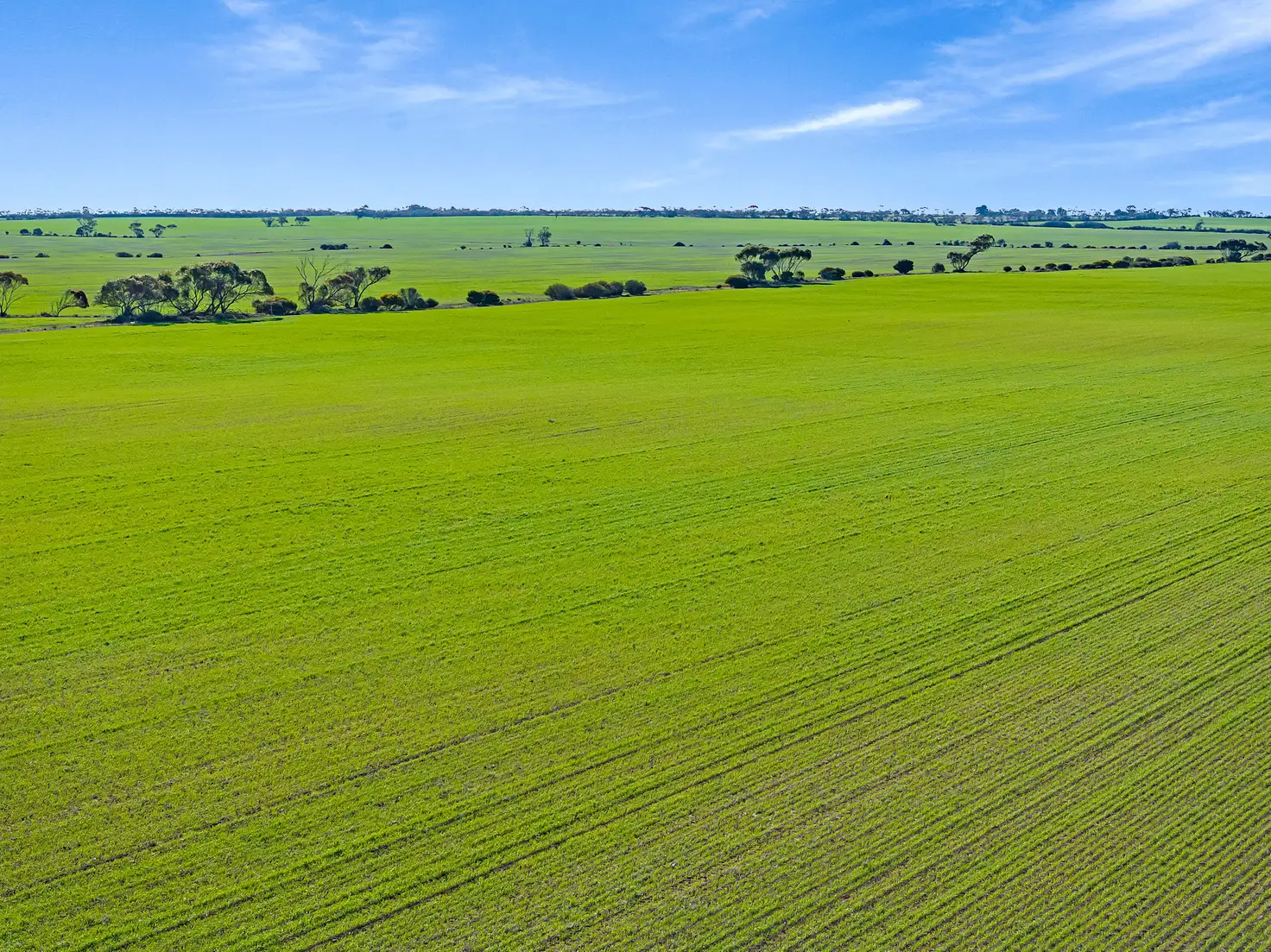Main view of Homely rural property listing, 'Newbolds' Chappell Road, Alford SA 5555