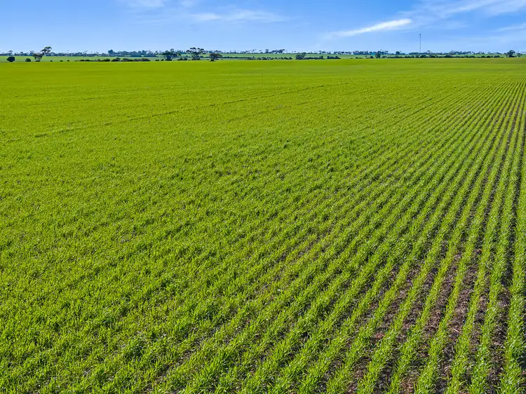 Second view of Homely rural property listing, 'Newbolds' Chappell Road, Alford SA 5555