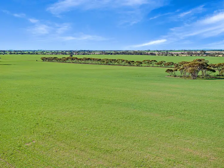 Third view of Homely rural property listing, 'Newbolds' Chappell Road, Alford SA 5555