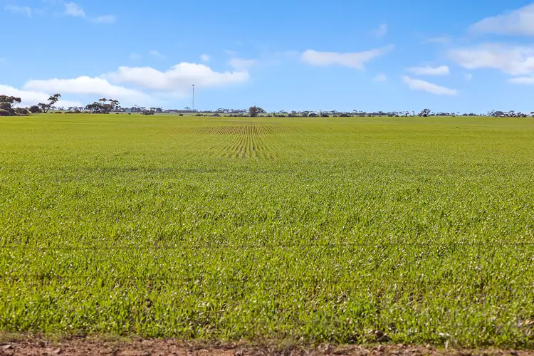 Fifth view of Homely rural property listing, 'Newbolds' Chappell Road, Alford SA 5555