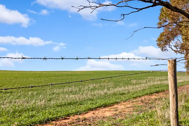 Sixth view of Homely rural property listing, 'Newbolds' Chappell Road, Alford SA 5555