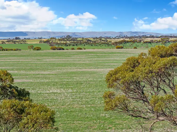 Seventh view of Homely rural property listing, 'Newbolds' Chappell Road, Alford SA 5555