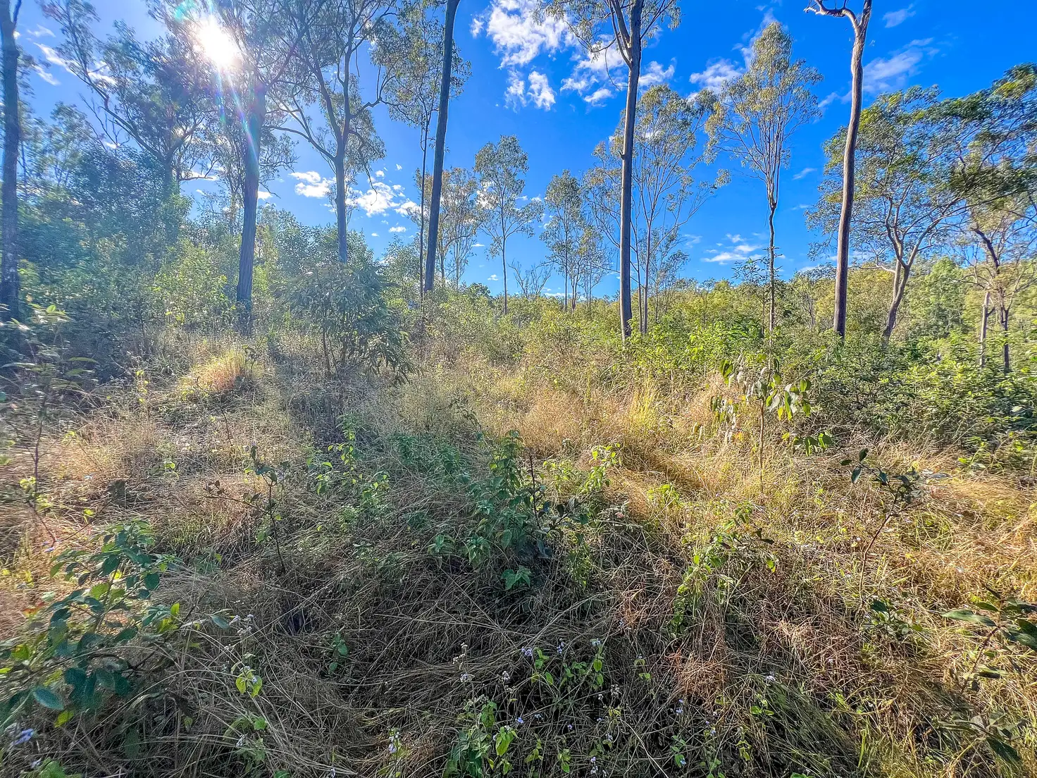 Main view of Homely land listing, 1274 Tableland Road, Horse Camp QLD 4671