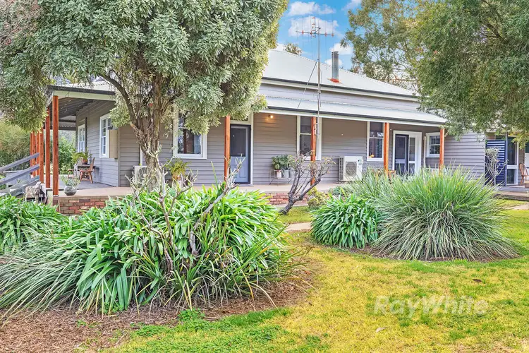 566 Pannoo Road, Lockington VIC 3563