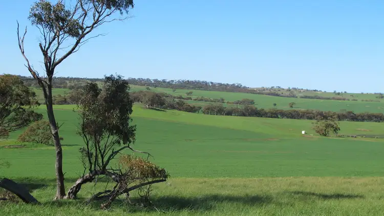 Wongamine Goomalling-Toodyay Road, Goomalling WA 6460