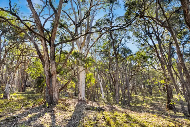 Sixth view of Homely land listing, 191 Baldwins Road, Trawalla VIC 3373