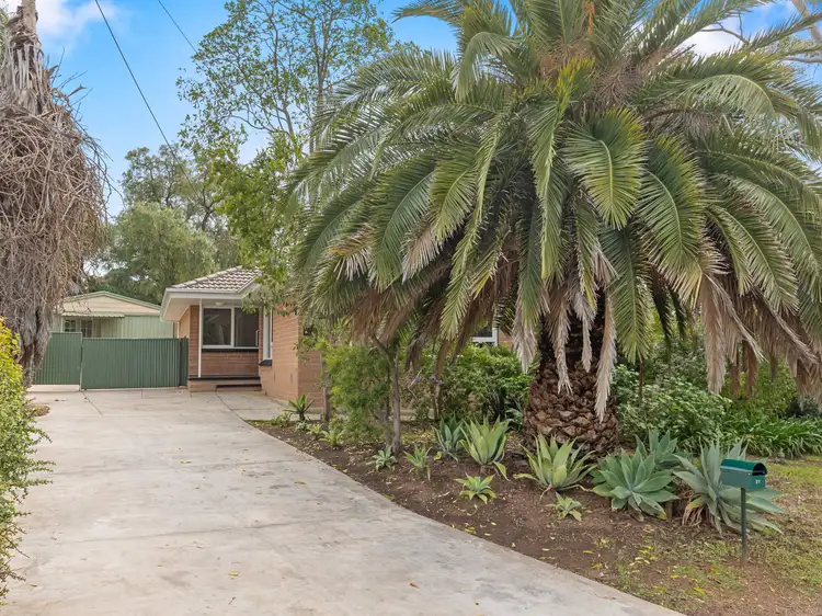 Second view of Homely house listing, 31 Peregrine Crescent, Christie Downs SA 5164
