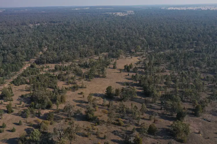 Third view of Homely rural property listing, 453 Engine Road, Baking Board QLD 4413