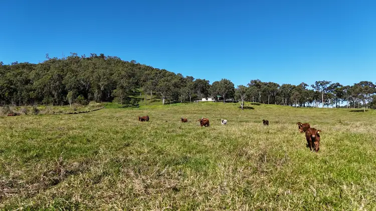 Fourth view of Homely rural property listing, 60 Eversleigh Road, Sarina QLD 4737