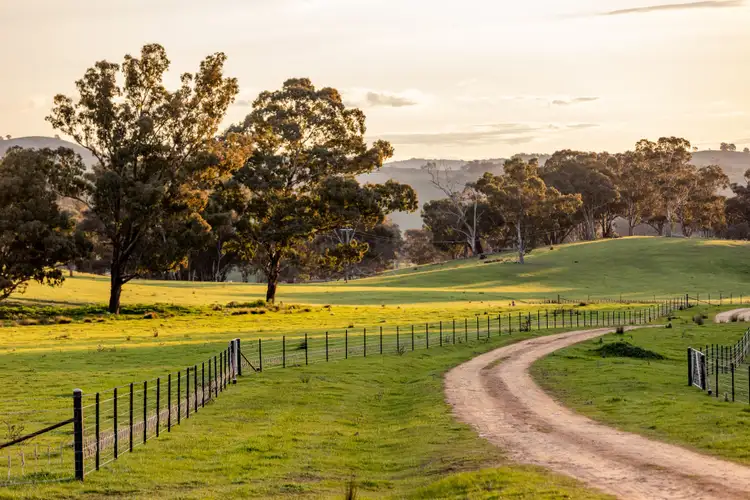 Second view of Homely rural property listing, 107 Stewarts Road, Oberne Creek NSW 2650