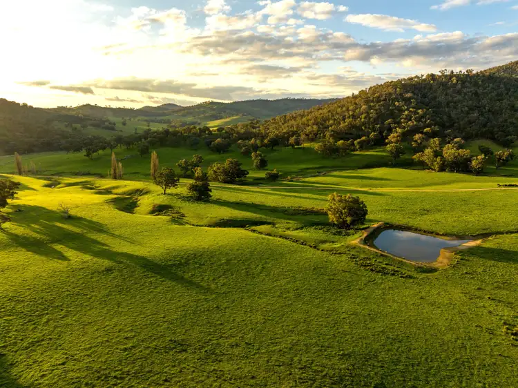 Fourth view of Homely rural property listing, 107 Stewarts Road, Oberne Creek NSW 2650