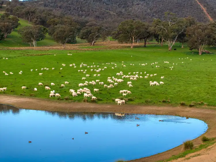 Sixth view of Homely rural property listing, 107 Stewarts Road, Oberne Creek NSW 2650