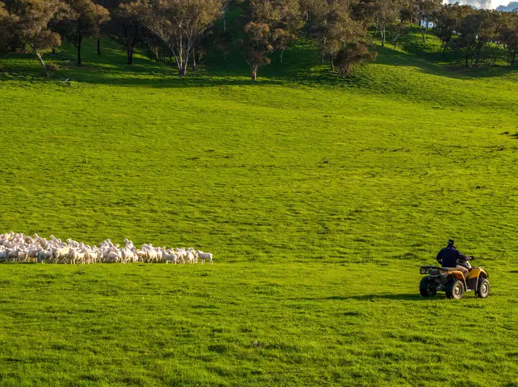 Seventh view of Homely rural property listing, 107 Stewarts Road, Oberne Creek NSW 2650
