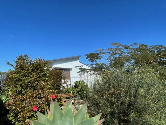 Main view of Homely house listing, 131 Wannerenooka Road, Northampton WA 6535