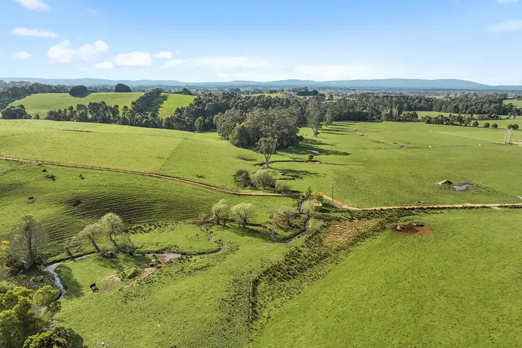 Second view of Homely rural property listing, Lot 3 Peters Road, Ellinbank VIC 3821