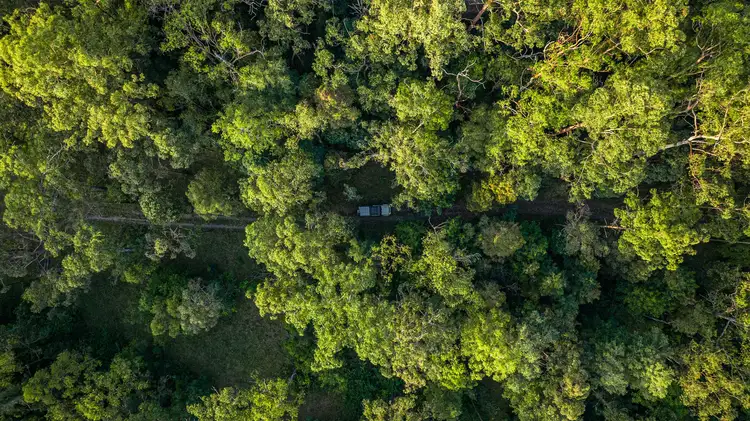 Sixth view of Homely rural property listing, 755-817 Bellthorpe Range Road, Stanmore QLD 4514