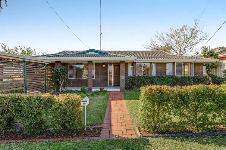 Main view of Homely house listing, 19 Hinkler Crescent, Wilsonton QLD 4350
