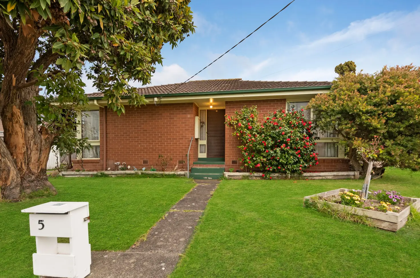Main view of Homely house listing, 5 Sheville Grove, Warrnambool VIC 3280