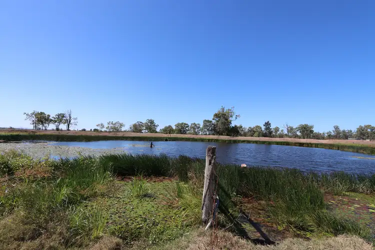 Third view of Homely rural property listing, 0 WEALE CREEK Road, Dalma QLD 4702