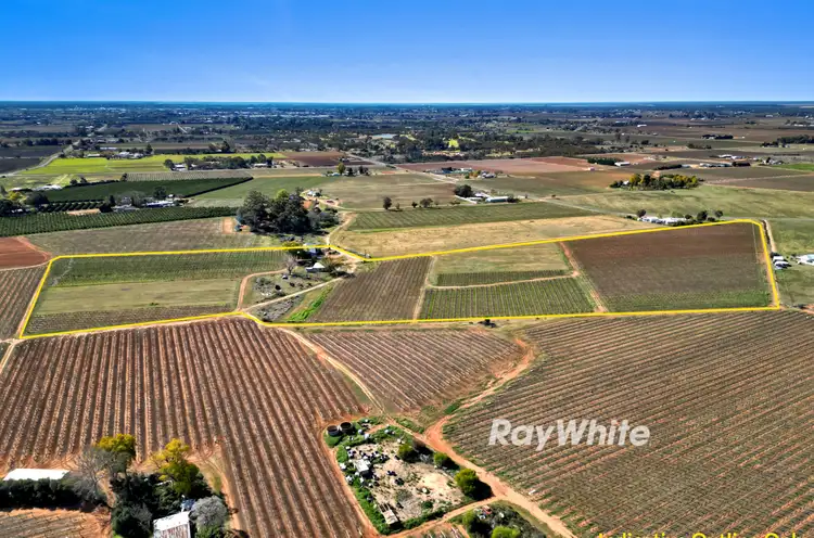 Main view of Homely rural property listing, 352 Coorong Avenue, Red Cliffs VIC 3496