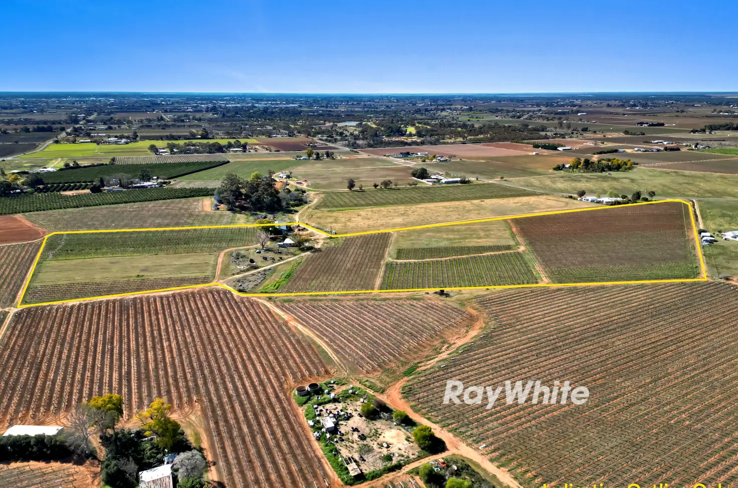 Main view of Homely rural property listing, 352 Coorong Avenue, Red Cliffs VIC 3496