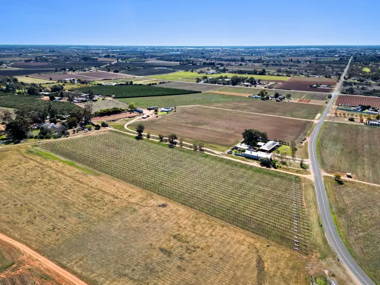 Fifth view of Homely rural property listing, Lot 3/328 & 352 Coorong Avenue, Red Cliffs VIC 3496